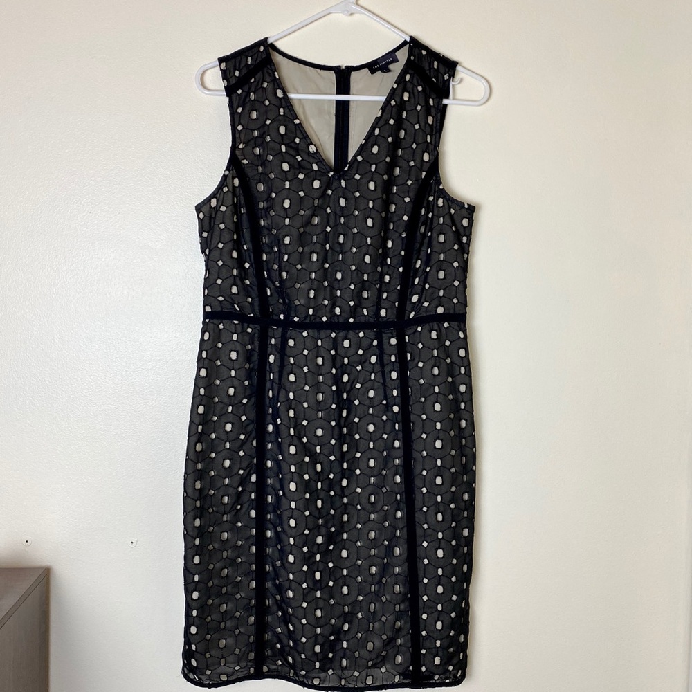 The Limited Black and Cream Dress